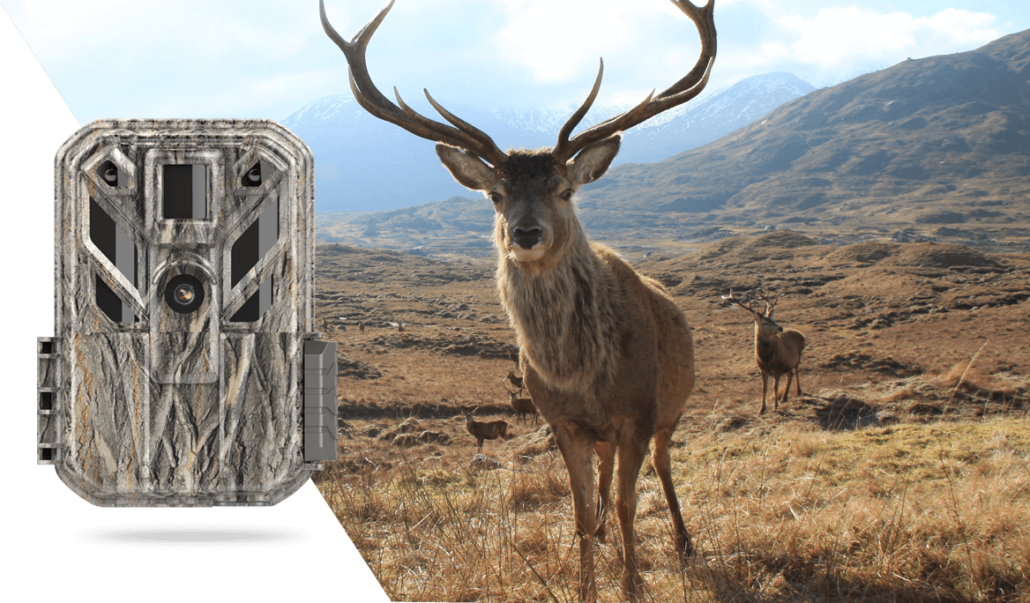 zecre trail hunting cameras