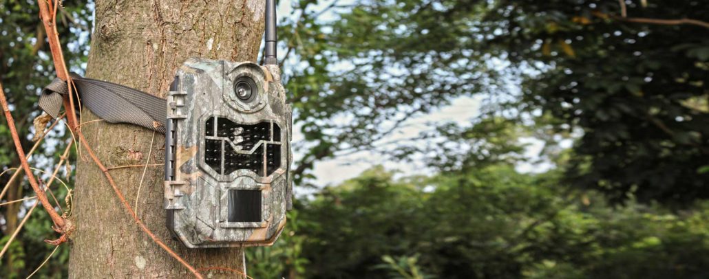 ph760 digital trail camera